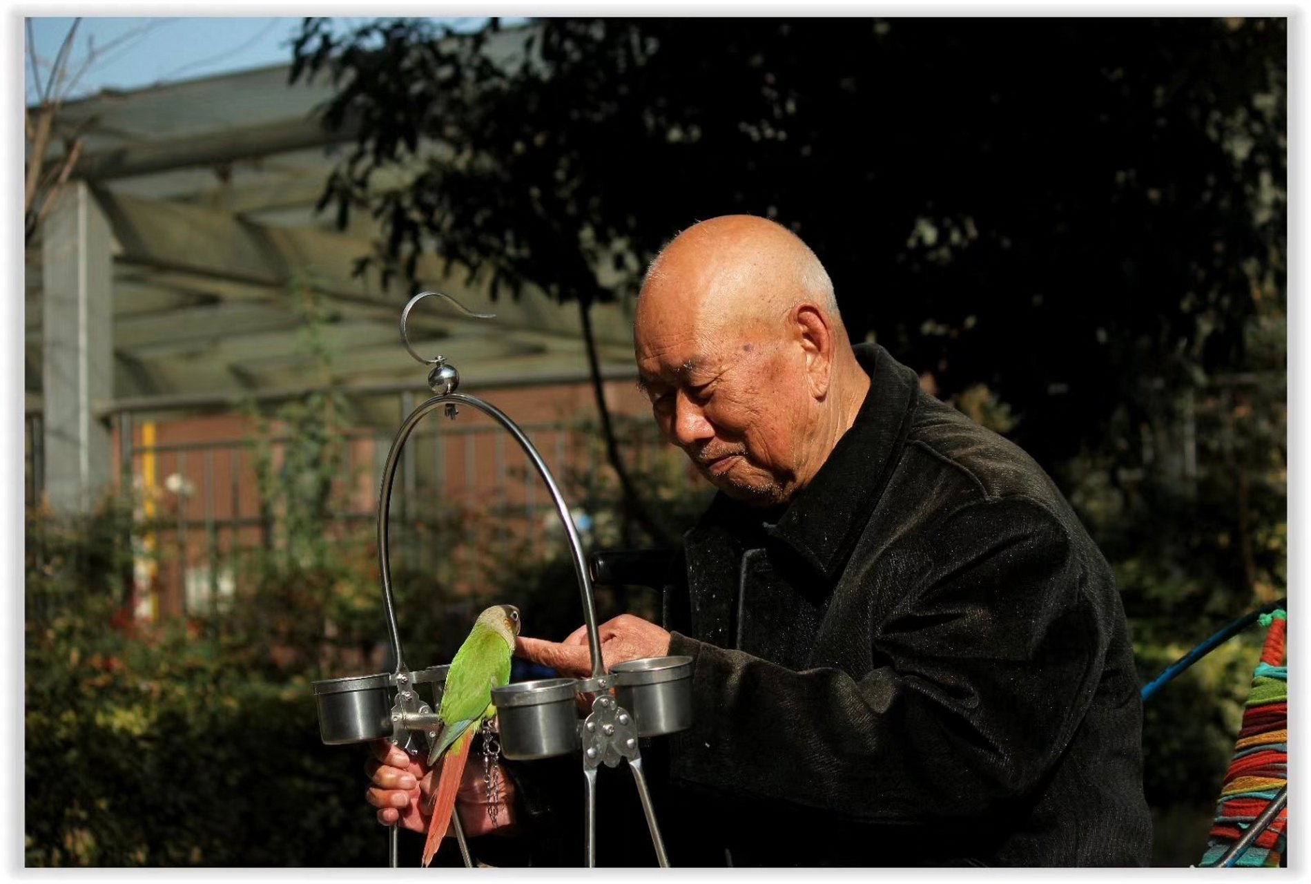 逗鸟的老人.(摄影原创)