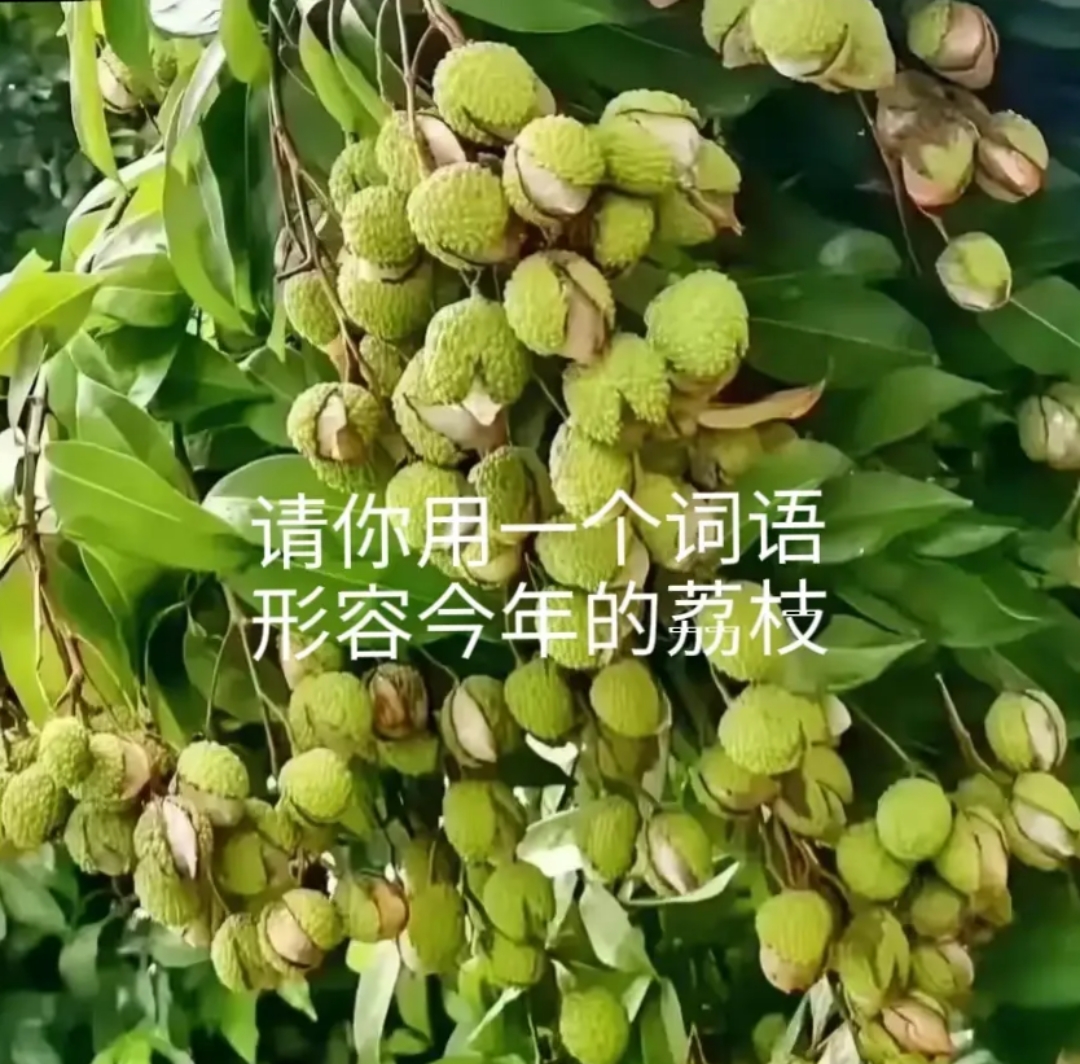 形容致富的词(形容快速致富的词)