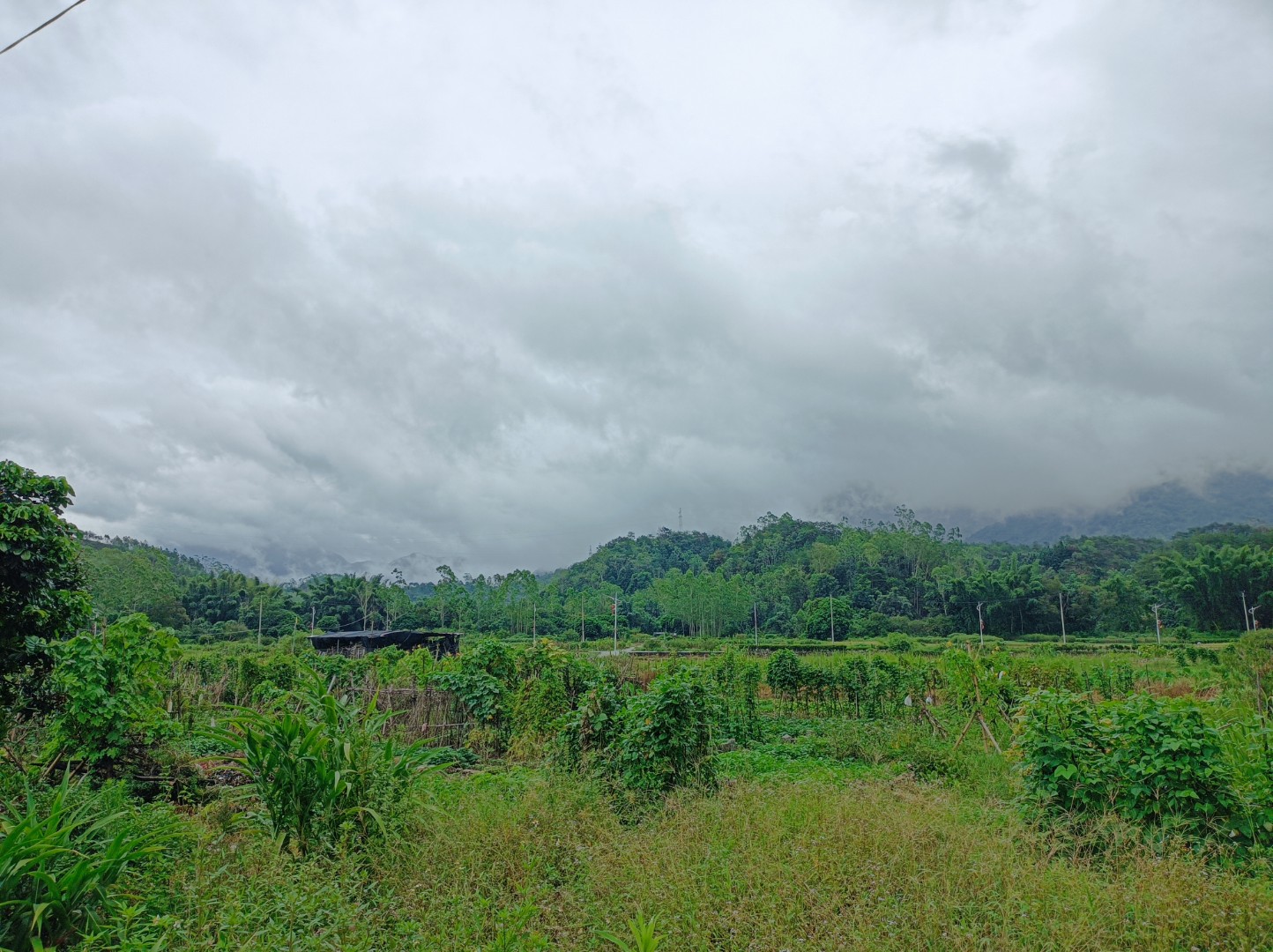 青黛色的山峦静默矗立,山脊线在浓云中若隐若现,像被命运扼住的喉咙