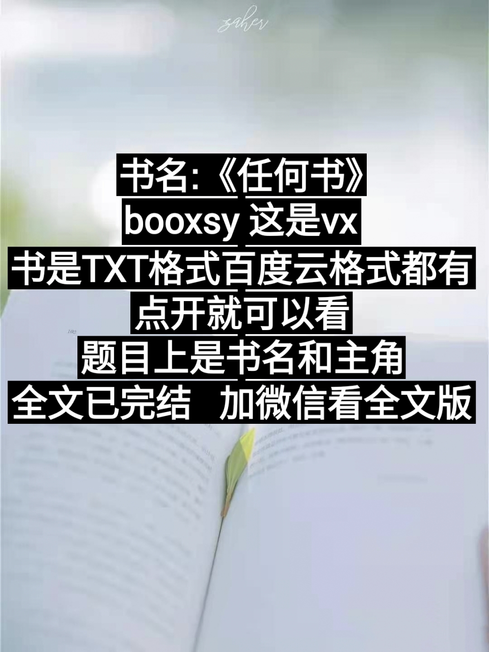 抖音热推主角是安暖傅之珩短篇现代完结小说《安暖傅之珩/不遇相思不