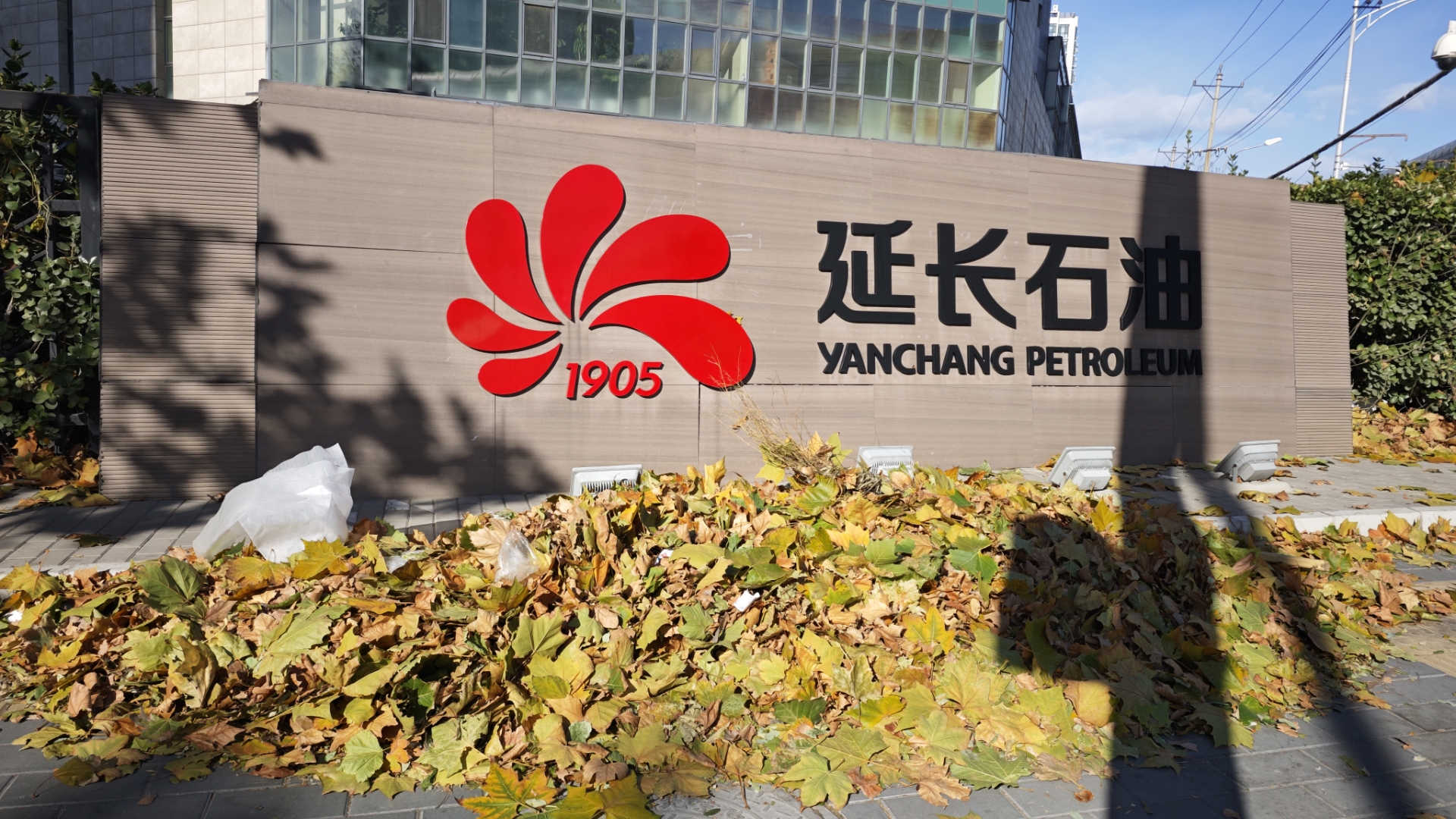 今天风好大哦,扫了一堆叶子居然没有被刮跑,堆在延长石油这里,居然还