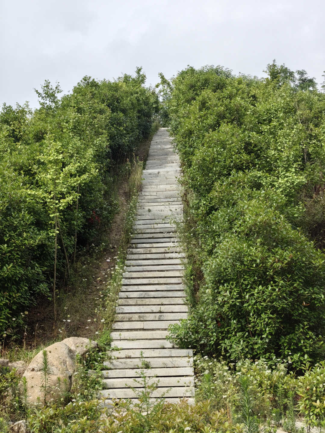 绿树成荫,漫步其中,心旷神怡.