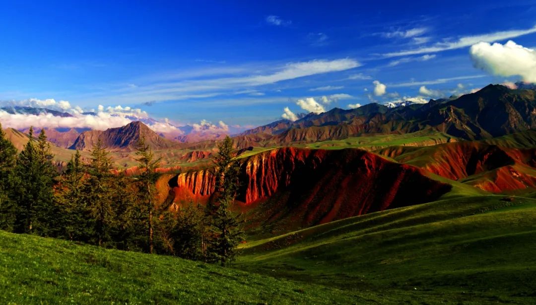 走进海北州金银滩草原,满眼翠绿,心旷神怡.