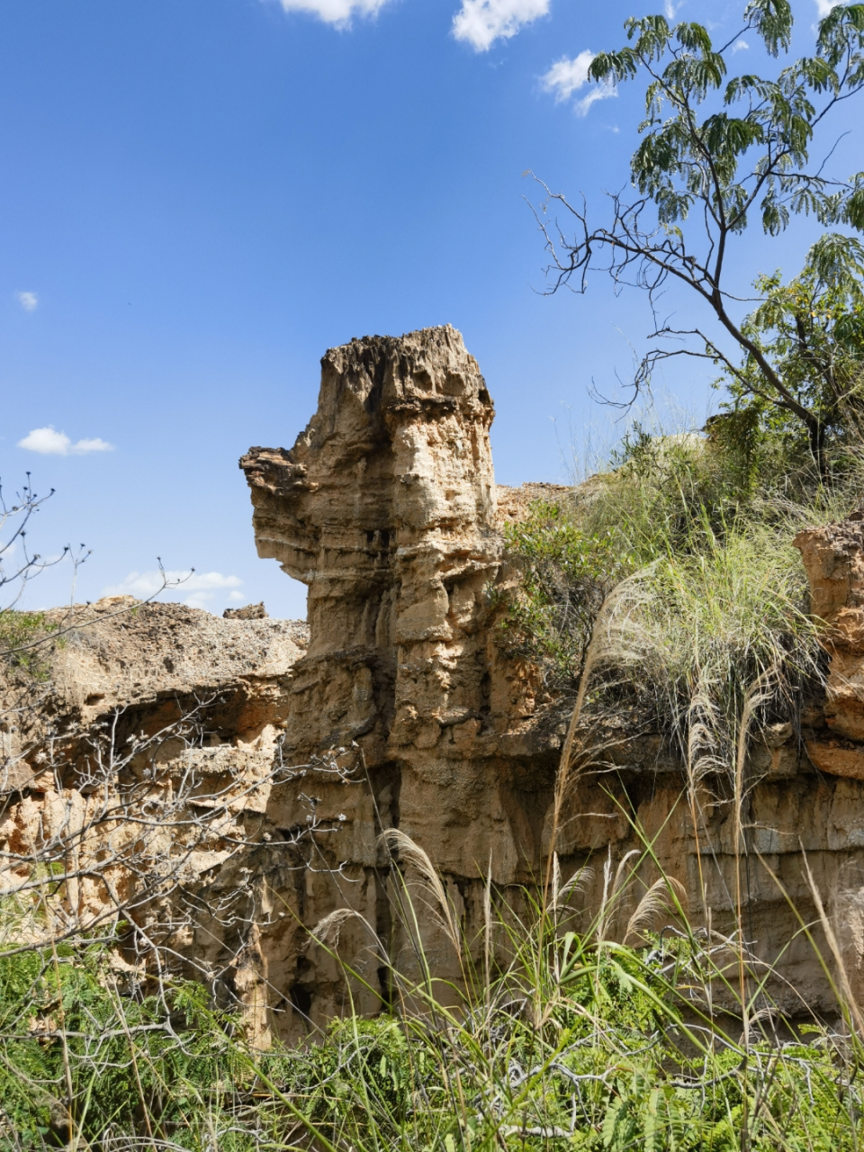 物茂土林风景区