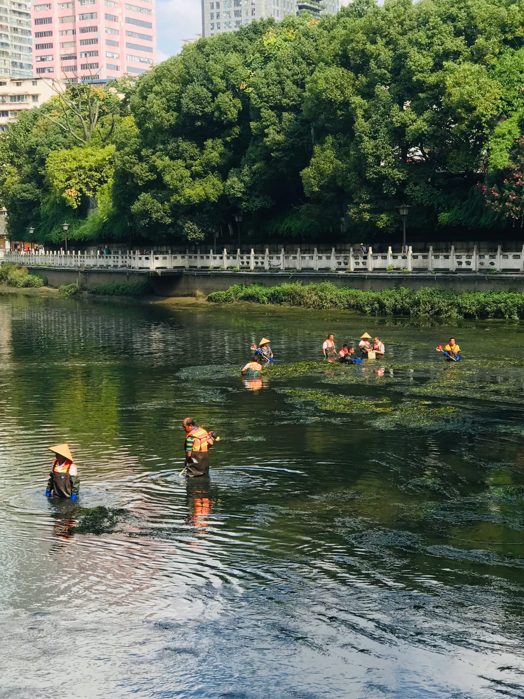 白石滩 孟津图片