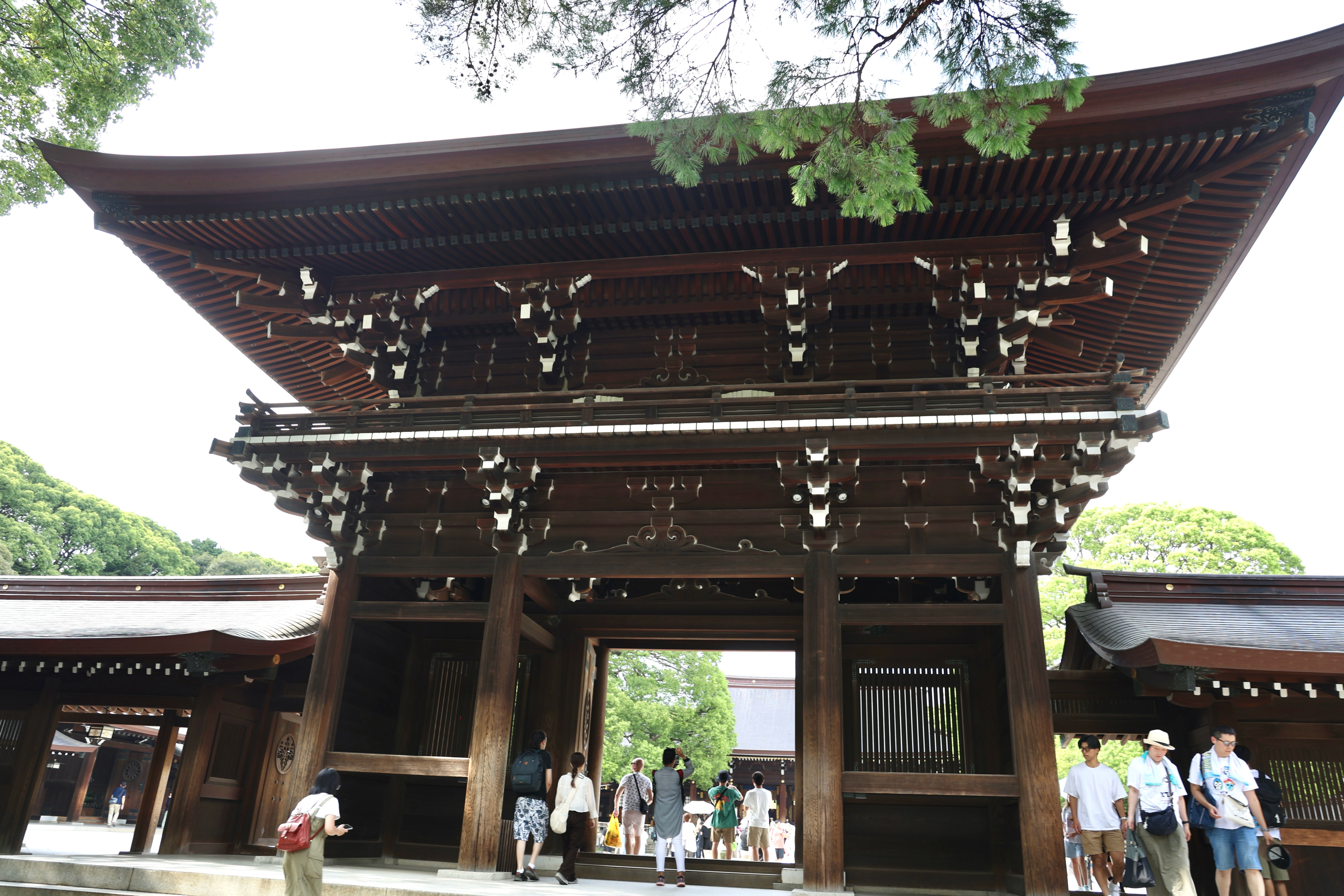 朝日神社图片