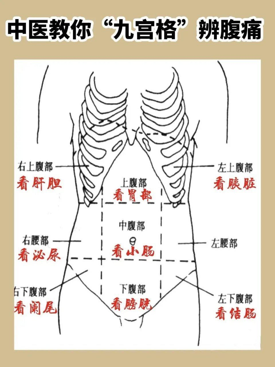 【用一个"九宫格,辨腹痛 1,右上腹部痛—看肝胆 2,左,右腰部痛