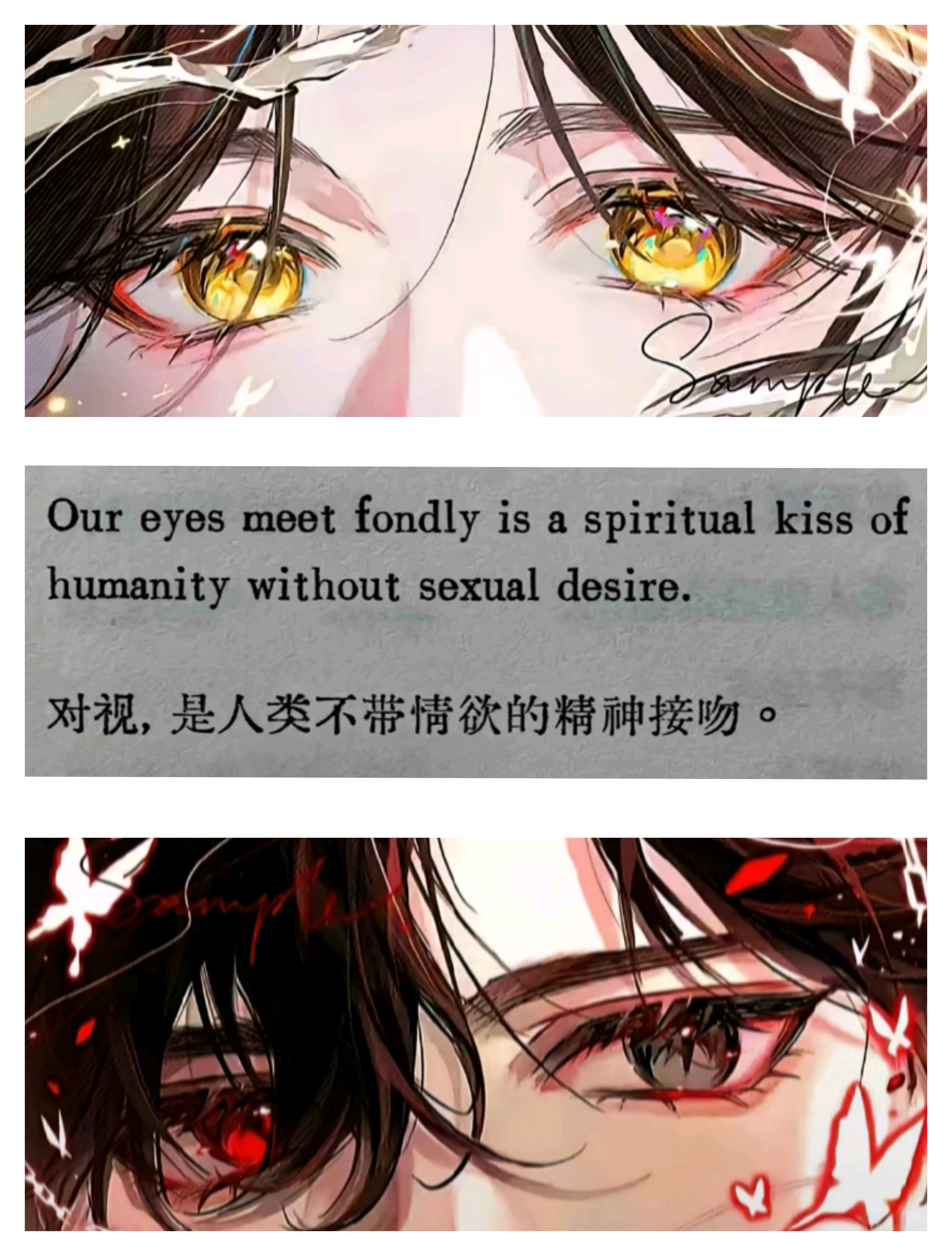 对视,是人类不带情欲的精神接吻