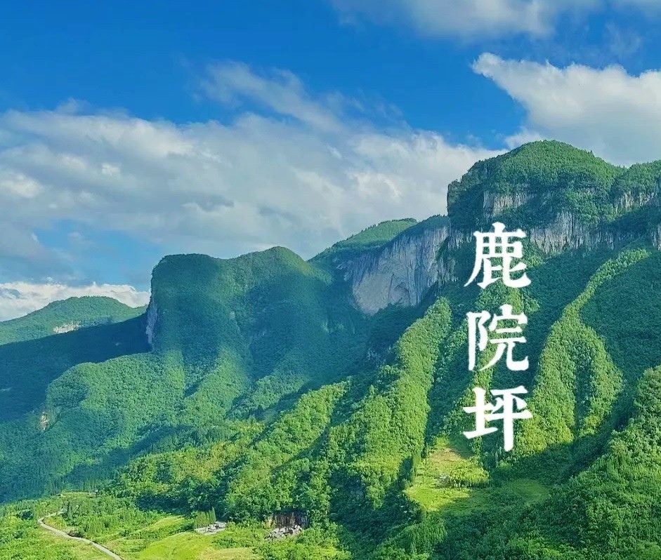 鹿院坪门票 上下电梯(三人(含)以上) 门票 下行120/人 门票 上下电梯