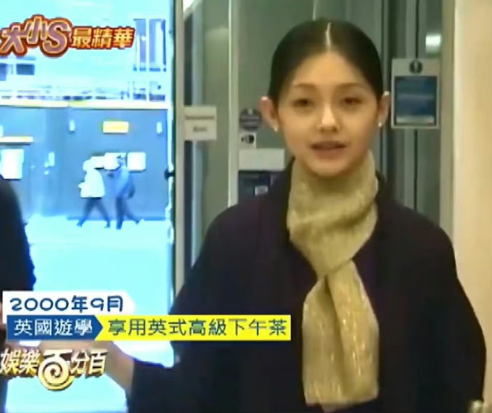 这是我当年追过的美容大王大s,曾经在屏幕上可以经常看到她教我们各种