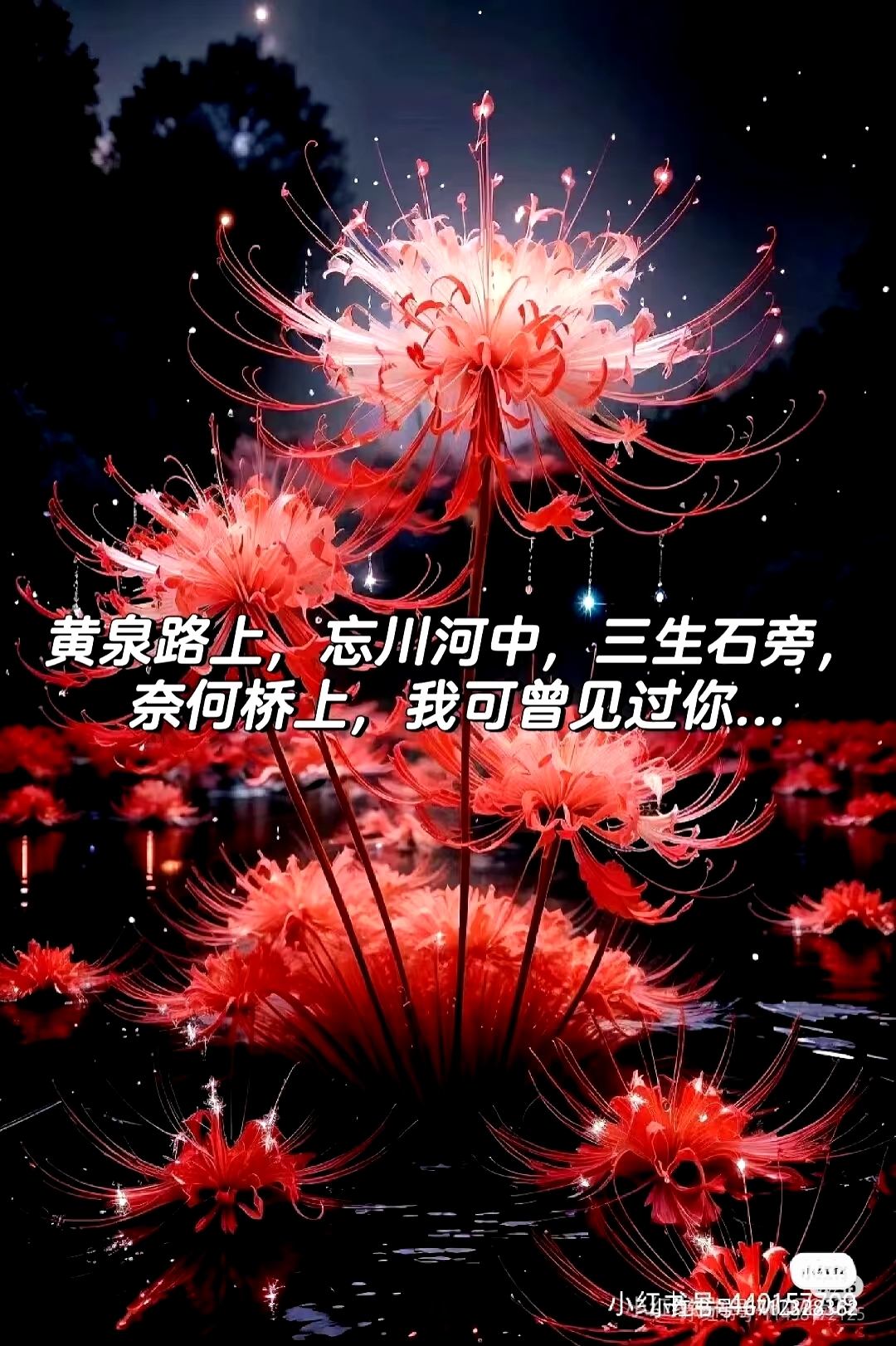 这朵花真美,好像彼岸花哦!