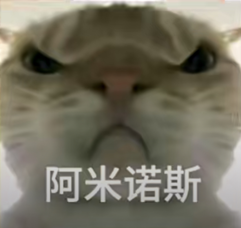 盘点那些猫咪梗