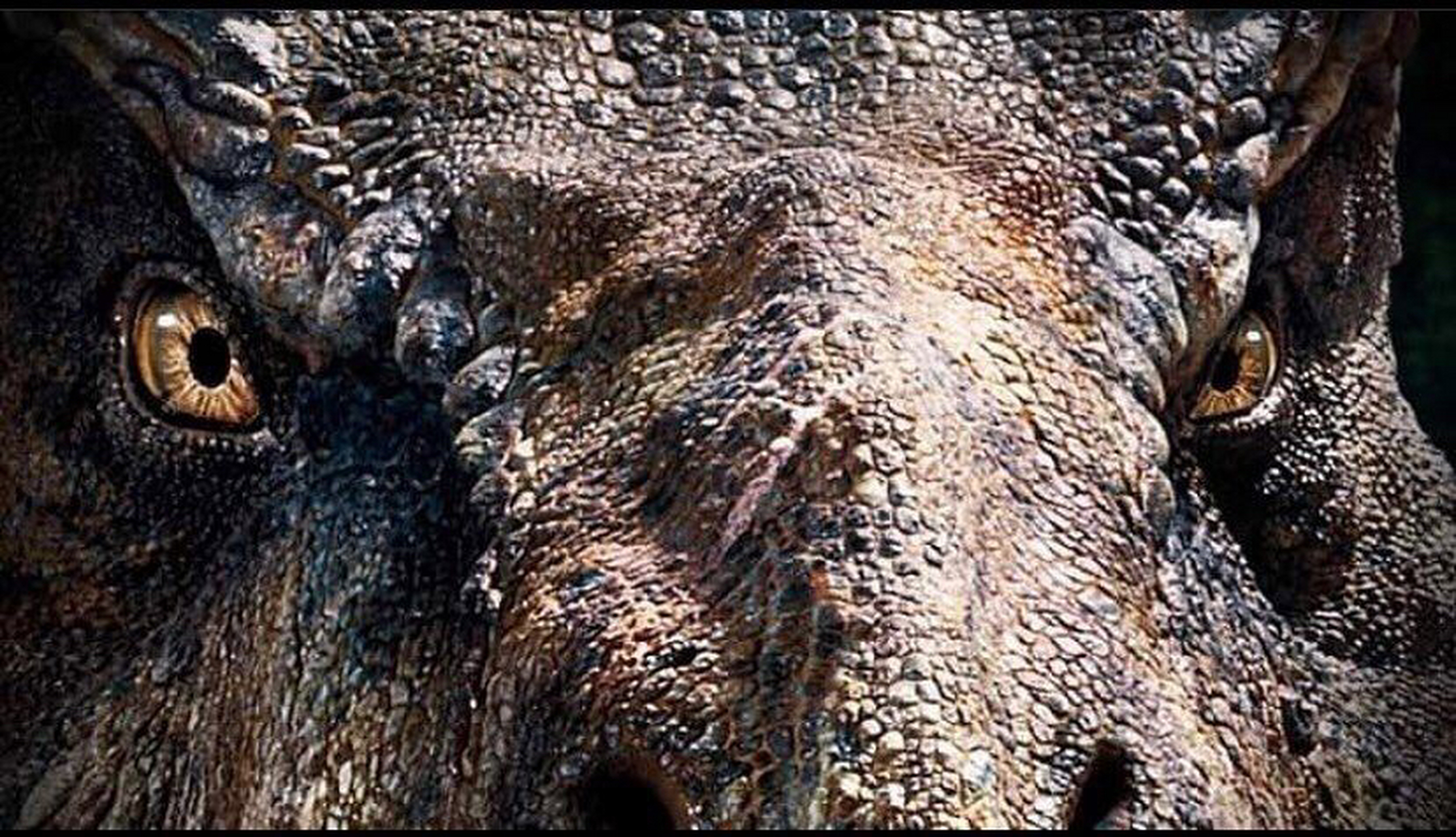 rexy的官方设定#侏罗纪世界# #霸王龙# #恐龙# @嗜血牛魔ce @毁灭君王