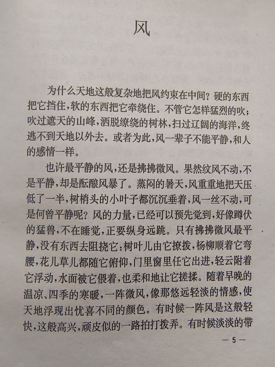 风信子的传说图片