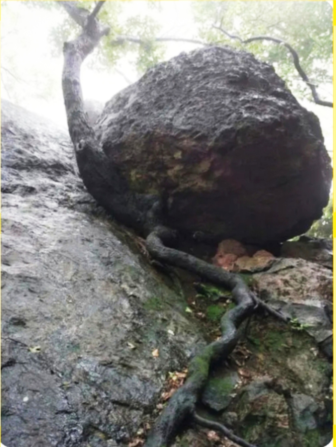 宝石山蛤蟆峰图片