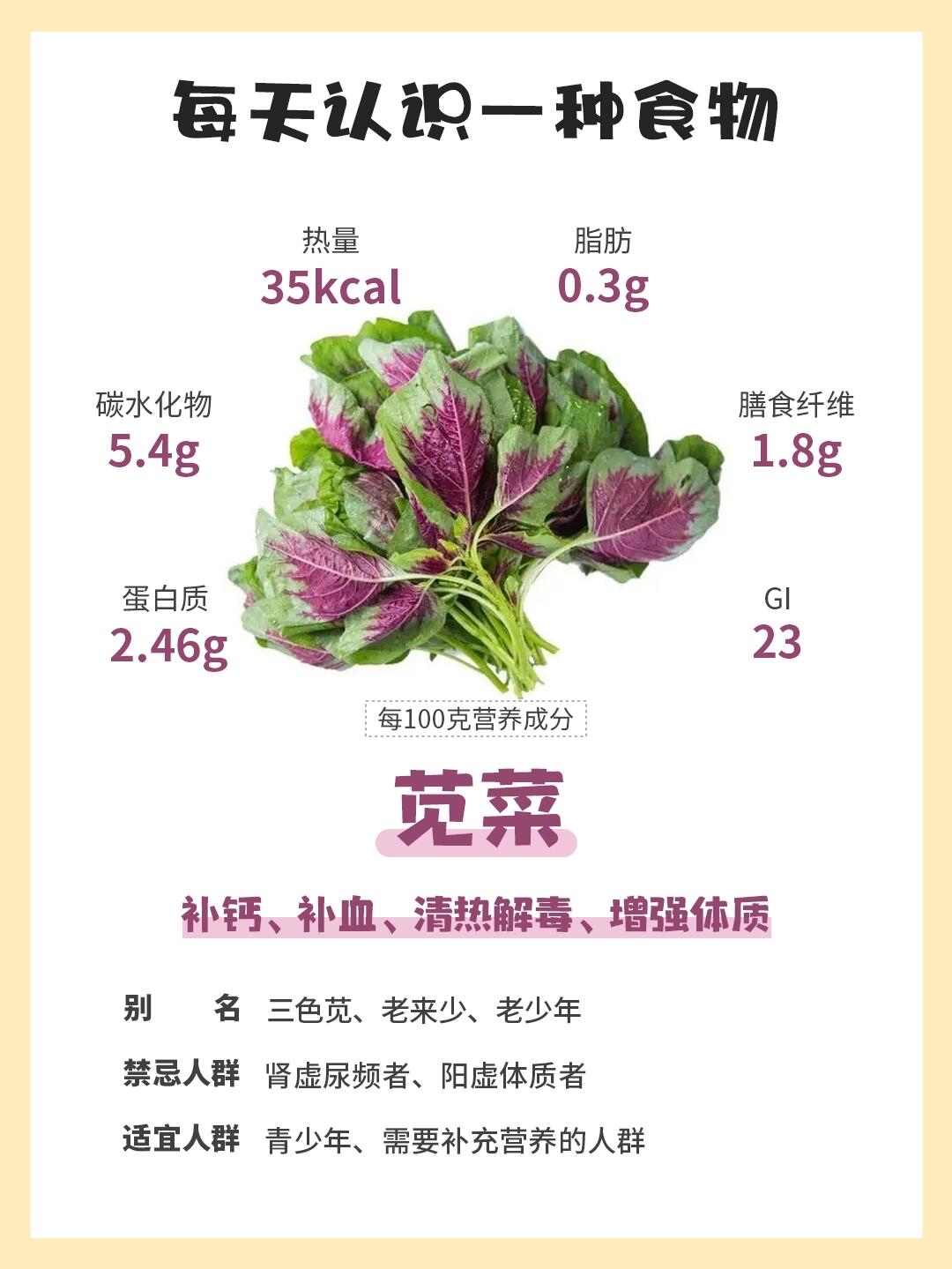 紫苋菜功效图片