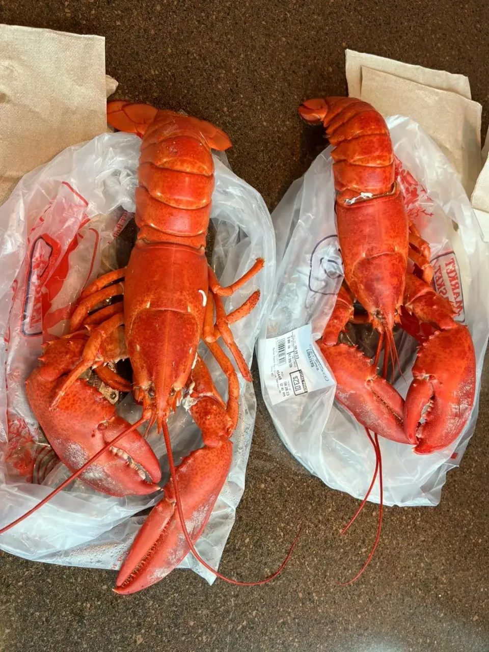 在美国波士顿吃顿波士顿龙虾多少钱?