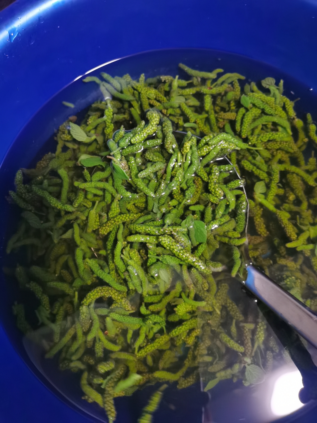 可以吃的绿色毛毛虫,给你带了点,你有空过来拿