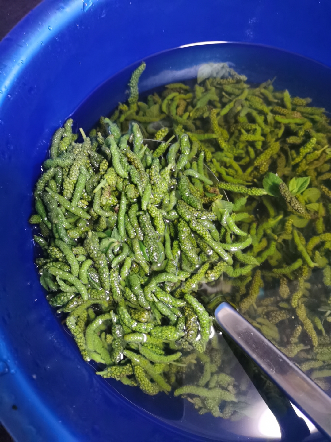 可以吃的绿色毛毛虫,给你带了点,你有空过来拿