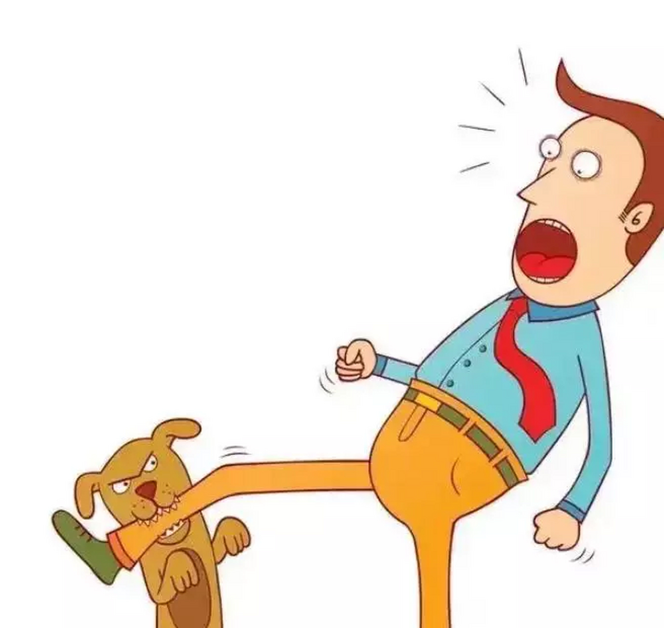 "你家狗咬人被打死,还要我赔偿?