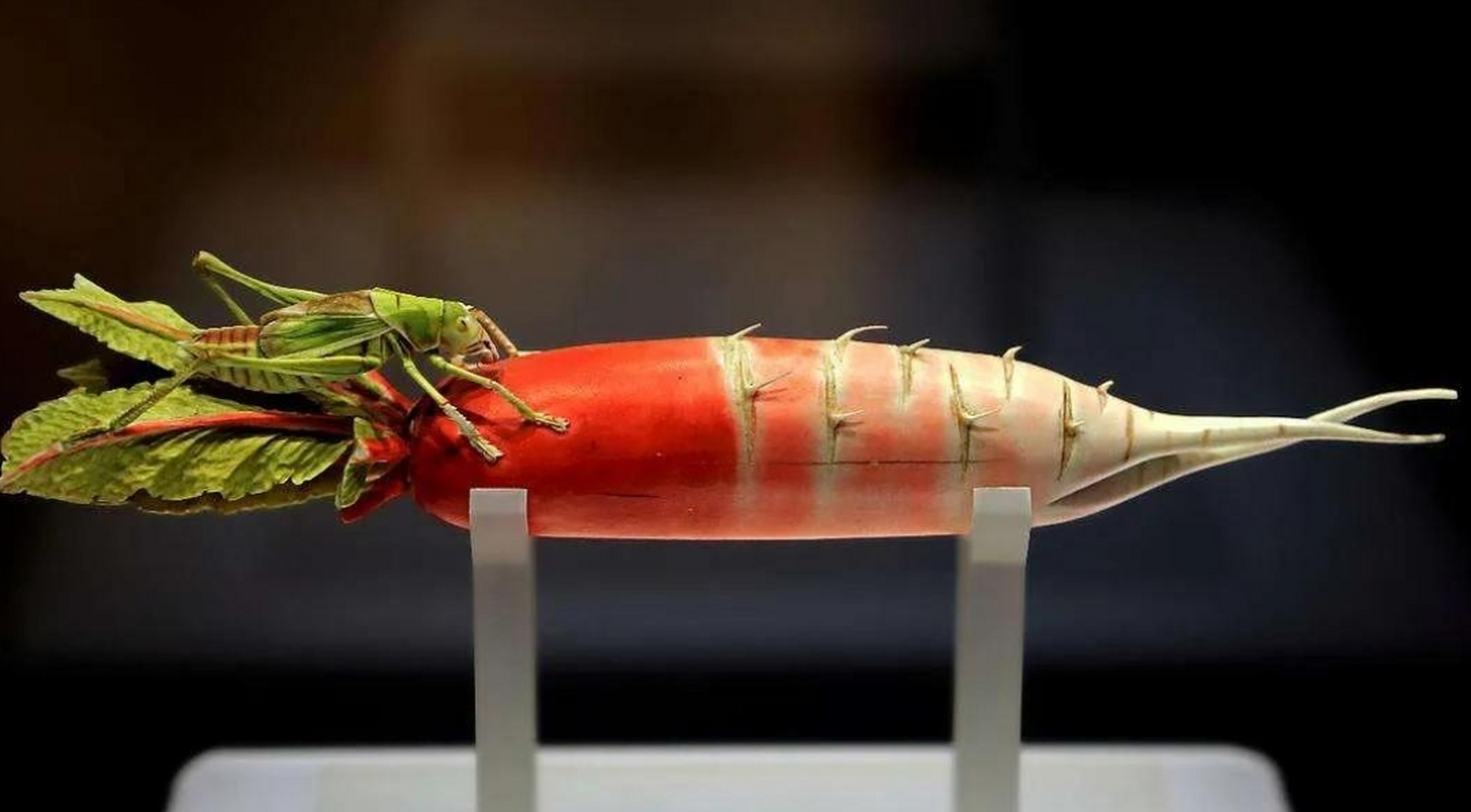 1995年,河南有一个收废品的老头在乡下吆喝,一个农妇请他进门.