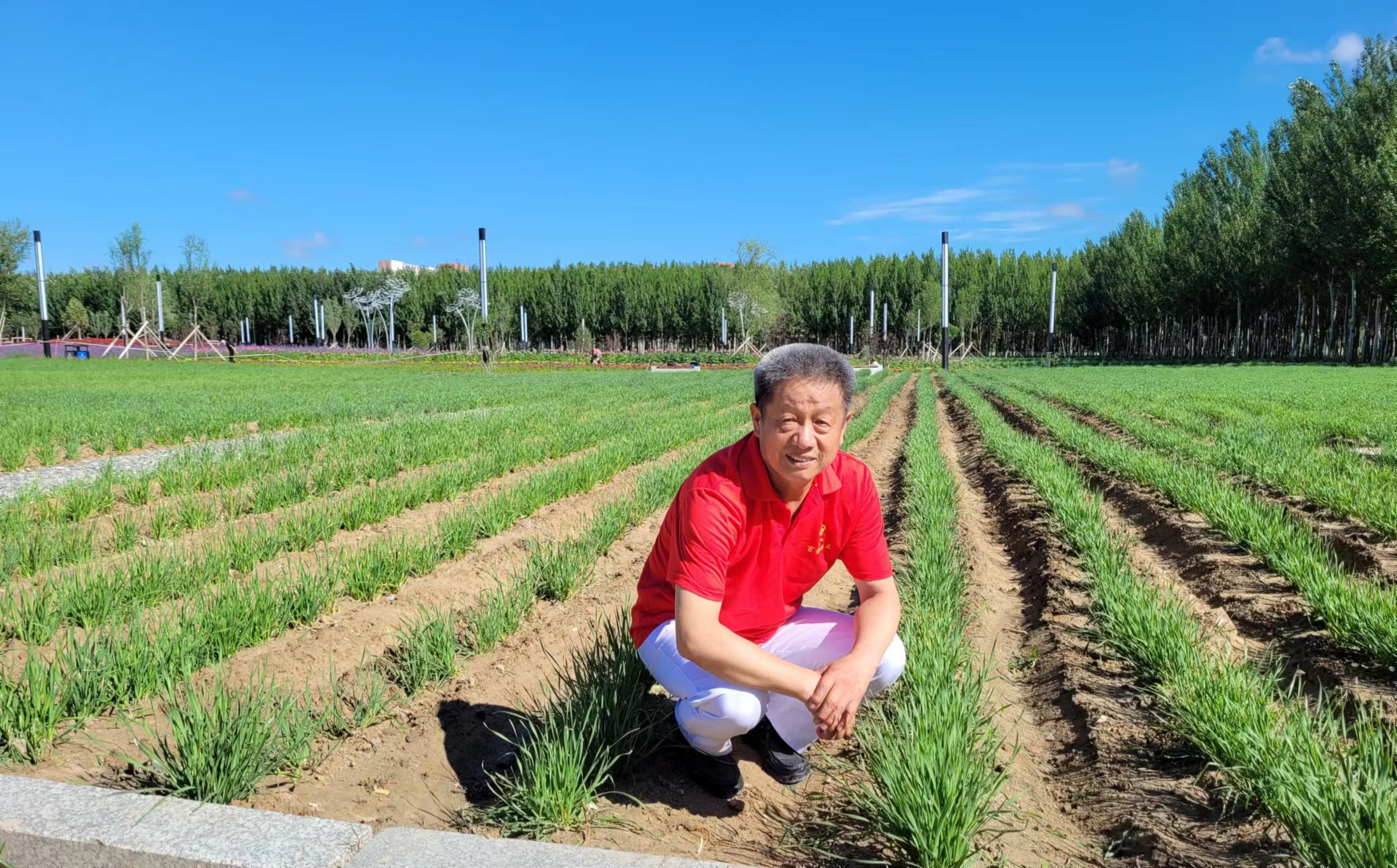 鸡东县新华中学教师,退休后曾受聘于大庆医学高等专科学校