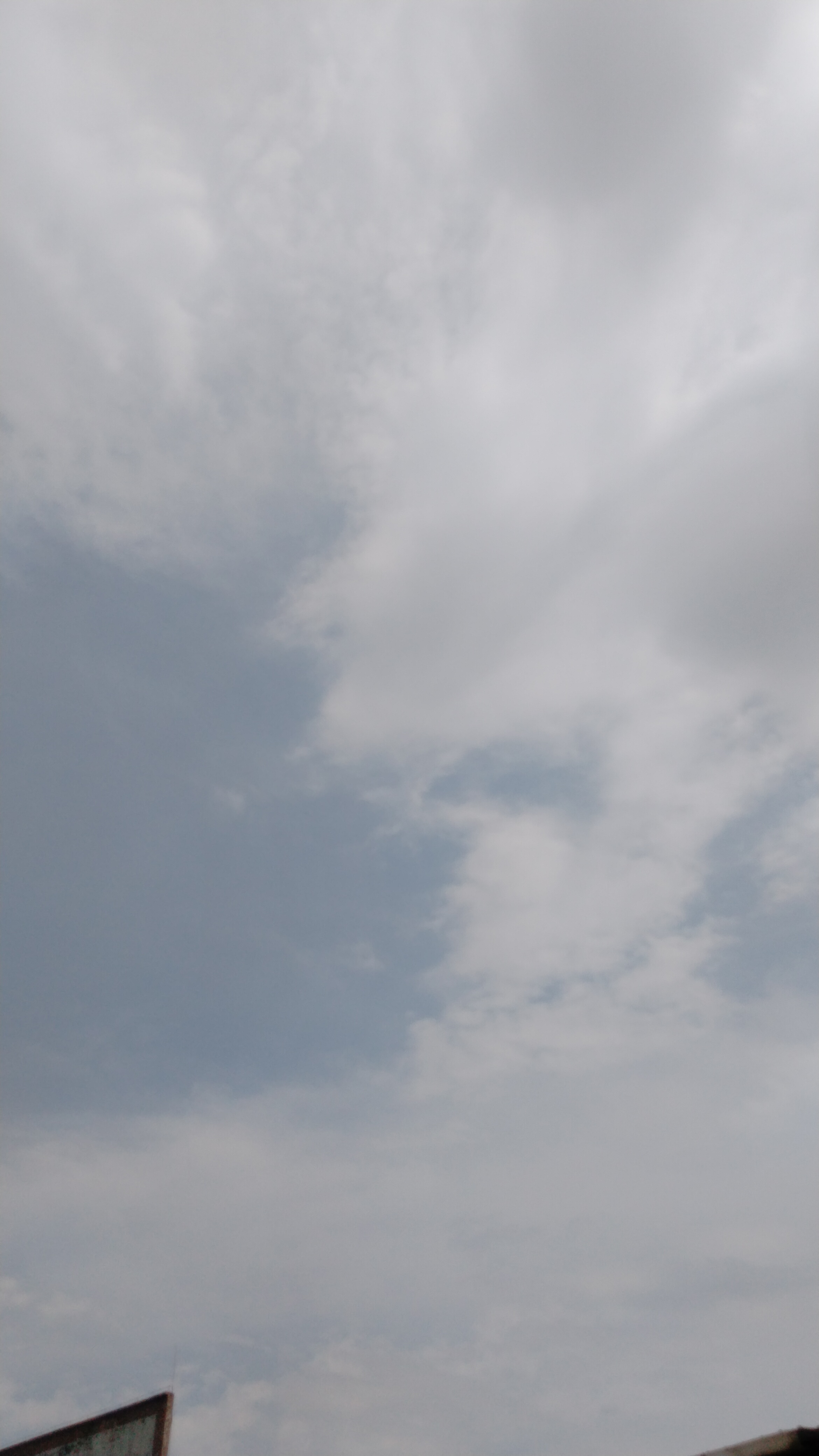 雨过天晴,心情也跟着明亮起来,清洗过的天空,干净得如同我的心灵