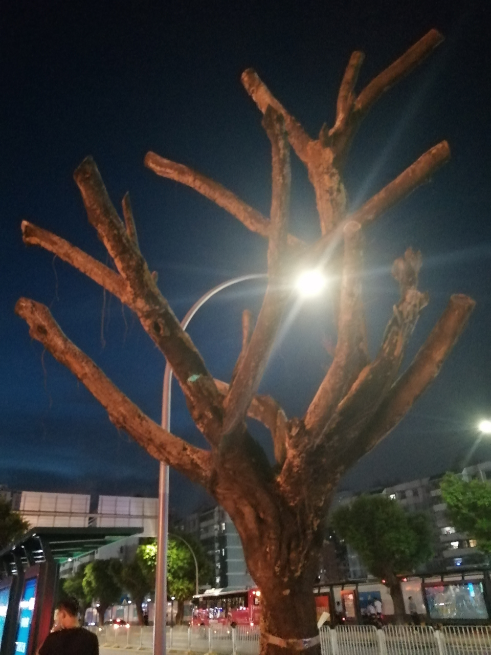 生物钟被打乱后有多可怕,只要晚上十二点前没睡着,十二点来睡觉,就再