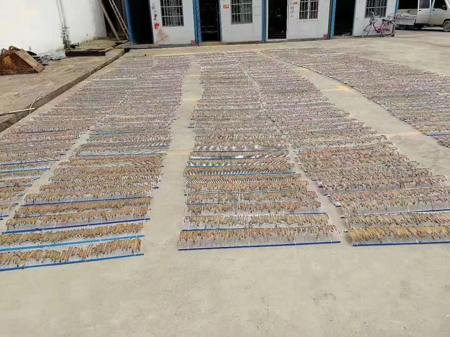 常年回收蚯蚓干货, 有不懂怎么加工的,可以随时咨询 #农村生活