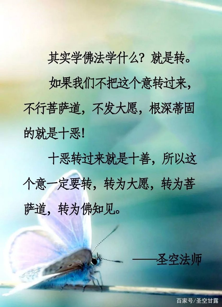 业力虽然可怕,但是业力它不能主动的攻击你,它只能够被动的现出相状
