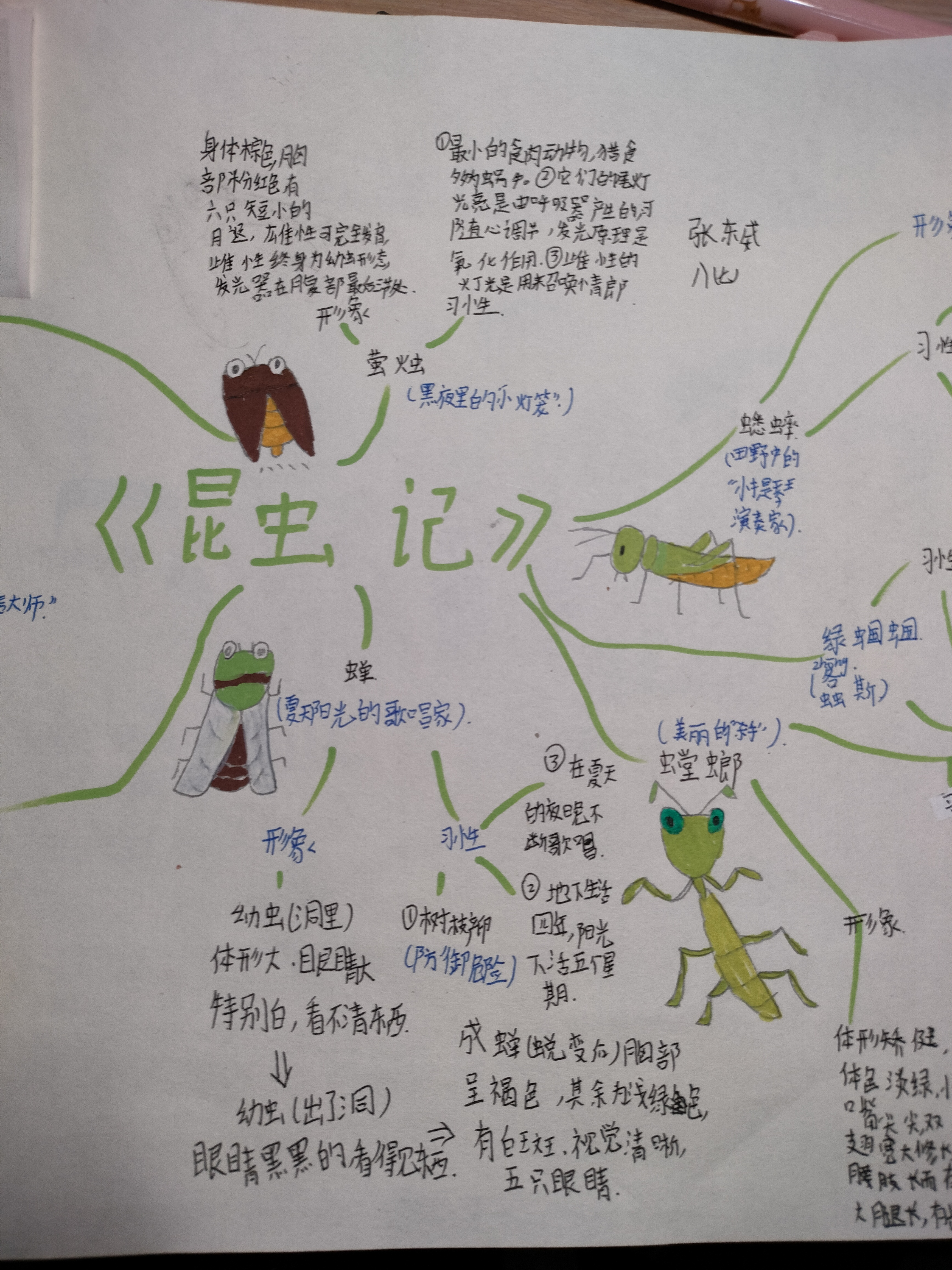 昆虫记思维导图资料图片