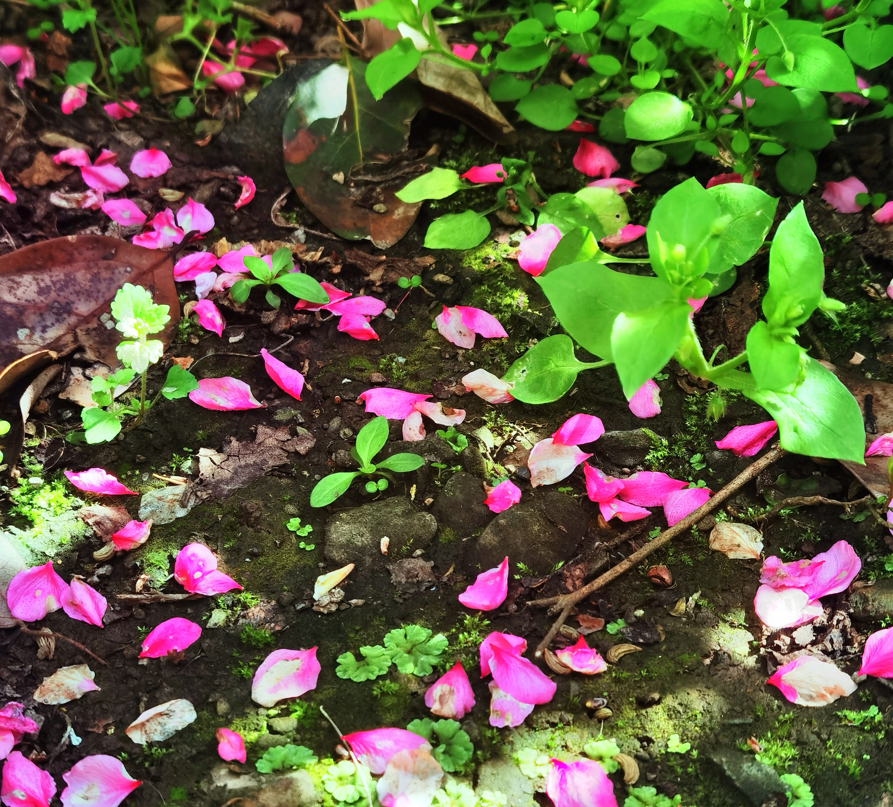 一个人的成功,只有15%归结于他的专业知识