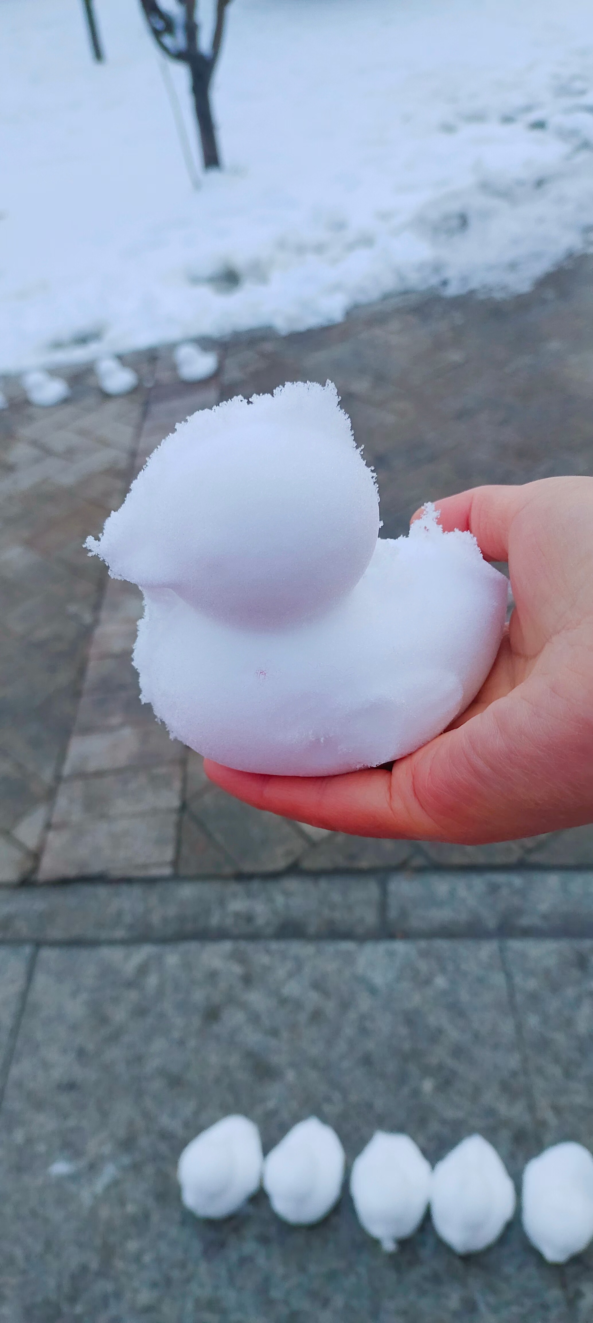 7615冬日魔法7615:可爱鸭雪球体验!  你知道吗?