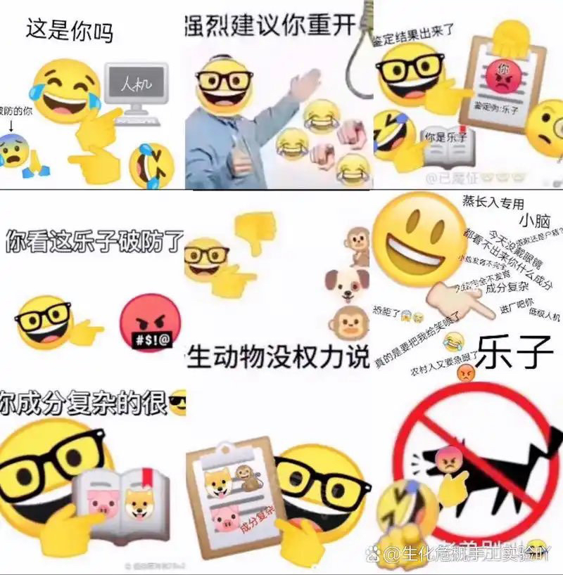 鉴定为低质乐子人,成分复杂破防急眼,建议重开或进厂