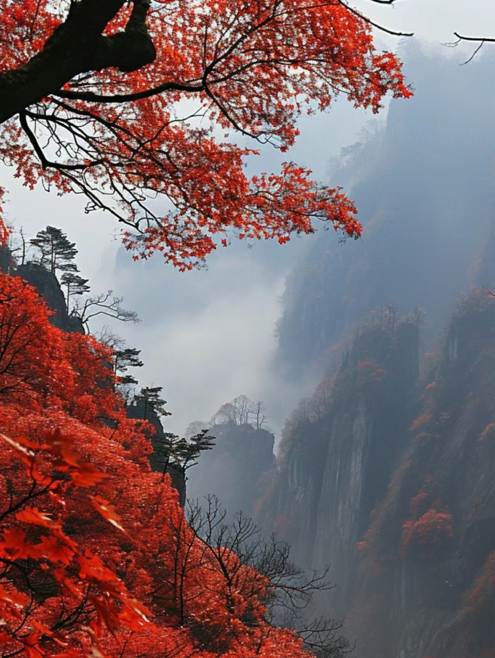 片片红叶,似火燃烧,舞动在微风中.远山如黛,云雾缭绕,宛如仙境.