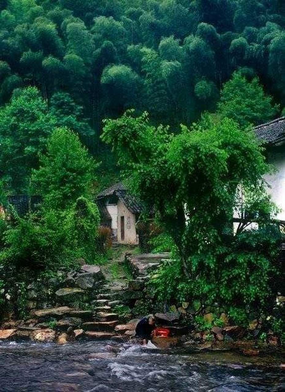 《山居闲吟》 雨过林园万绿肥,竹篱茅舍掩柴扉.