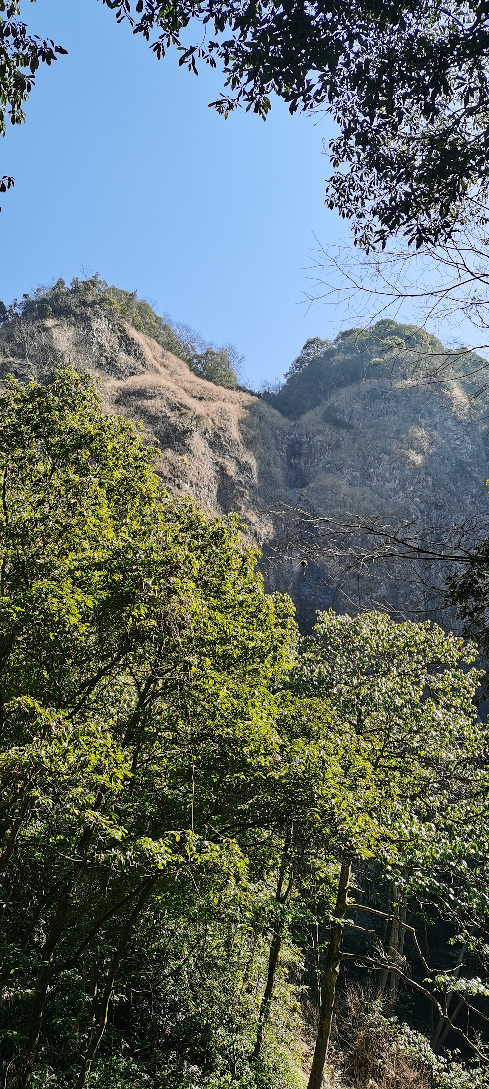 来到了群山峡谷,山林间的清凉与宁静,大自然的怀抱,尽在这片绿意盎然