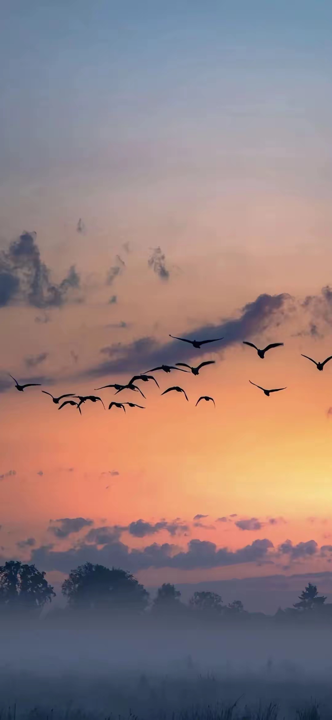 钟声回荡,晚霞散落 拍打一天的翅膀 收敛的时辰已到 巢