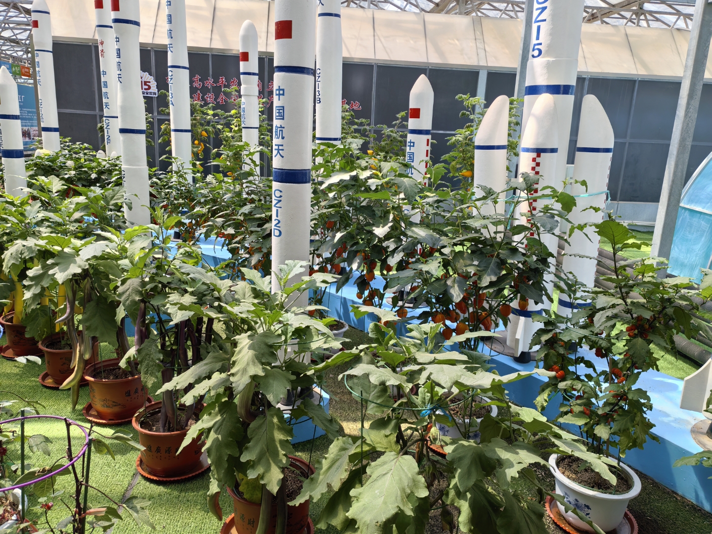 诱导种子发生变异,从而培育出更新的品种,更独特的口感,也进一步丰富