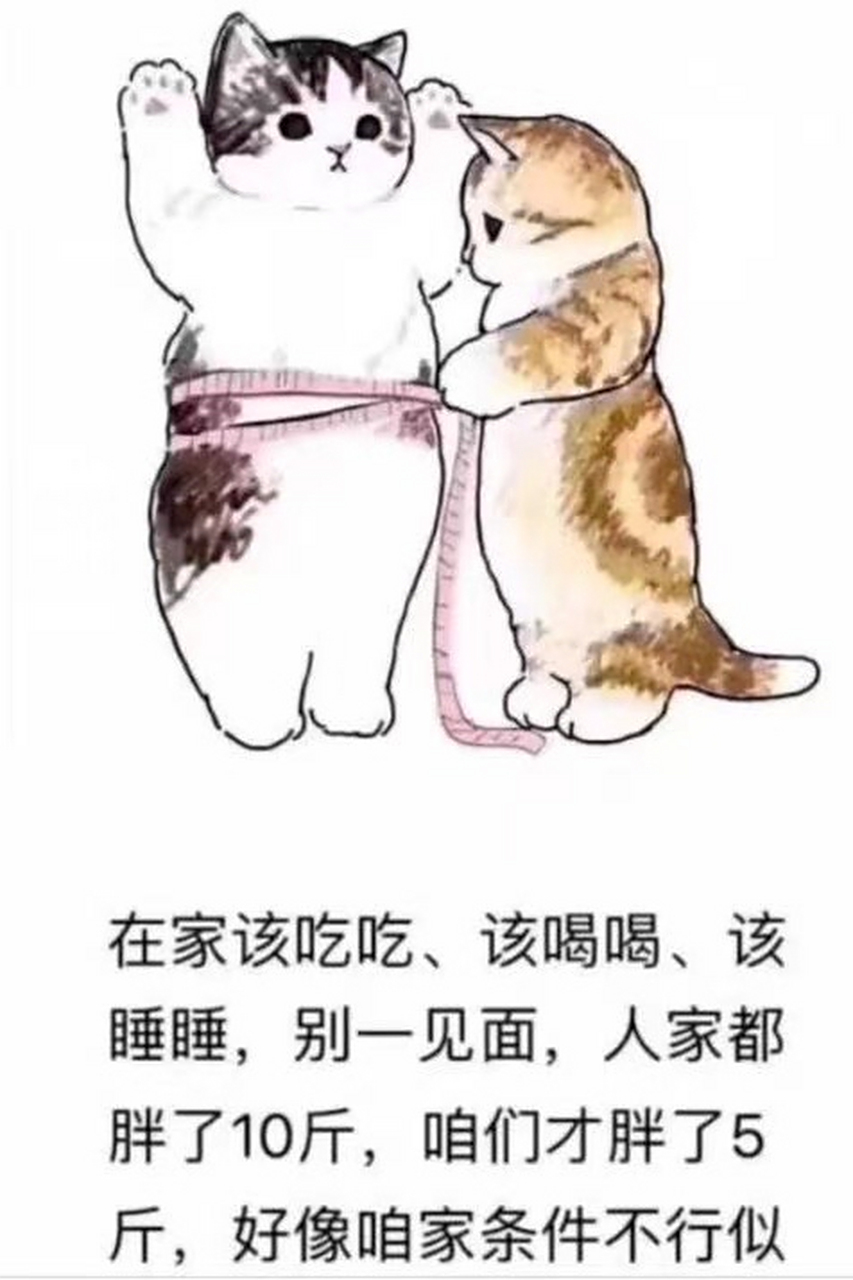 要看开点,但行好事莫问前程