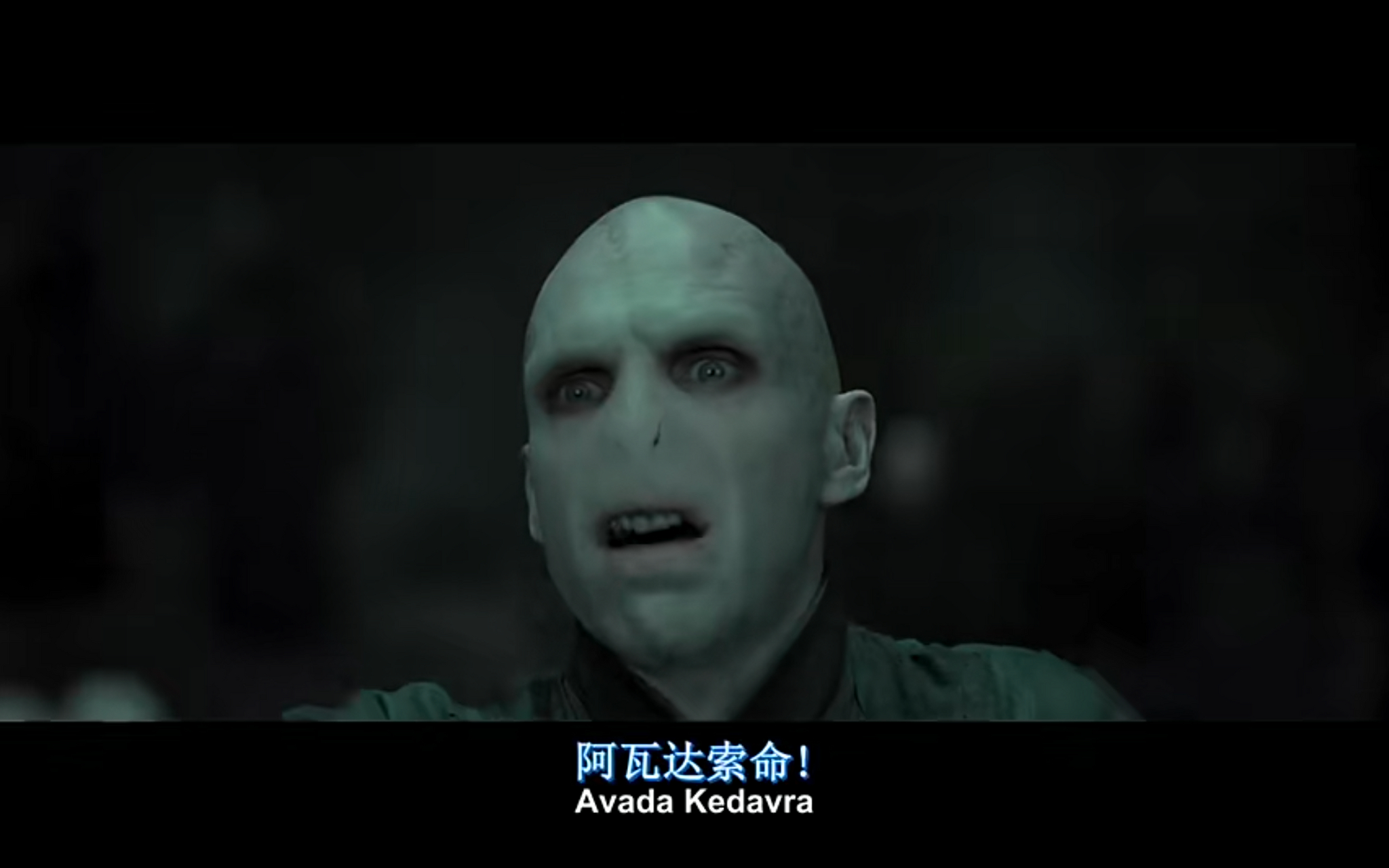 哈利波特# 阿瓦达啃大瓜[泪奔]