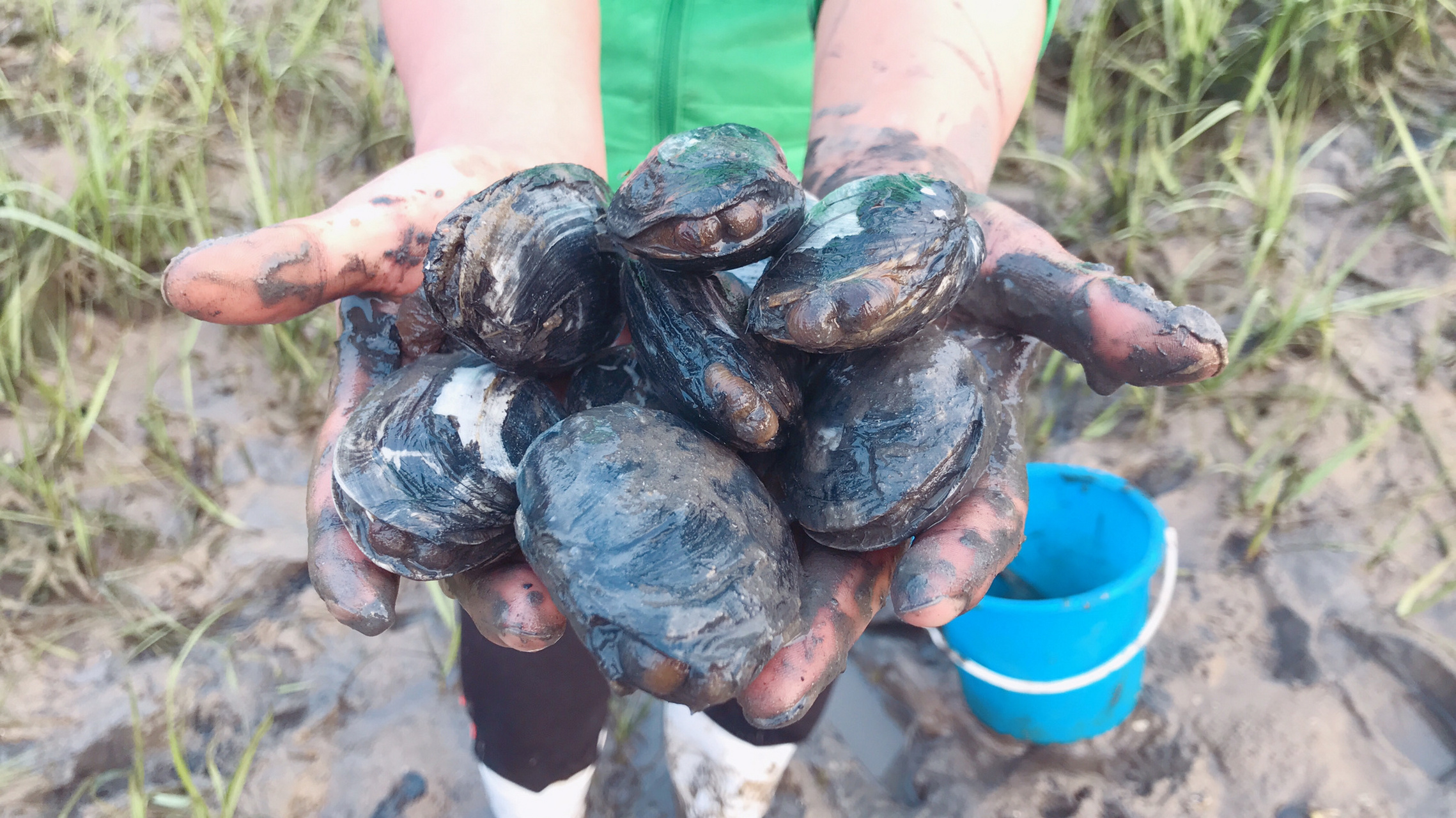 五一不停更# 大家好,我们是大汉小敏,一对赶海夫妻.这个五一怎么过?