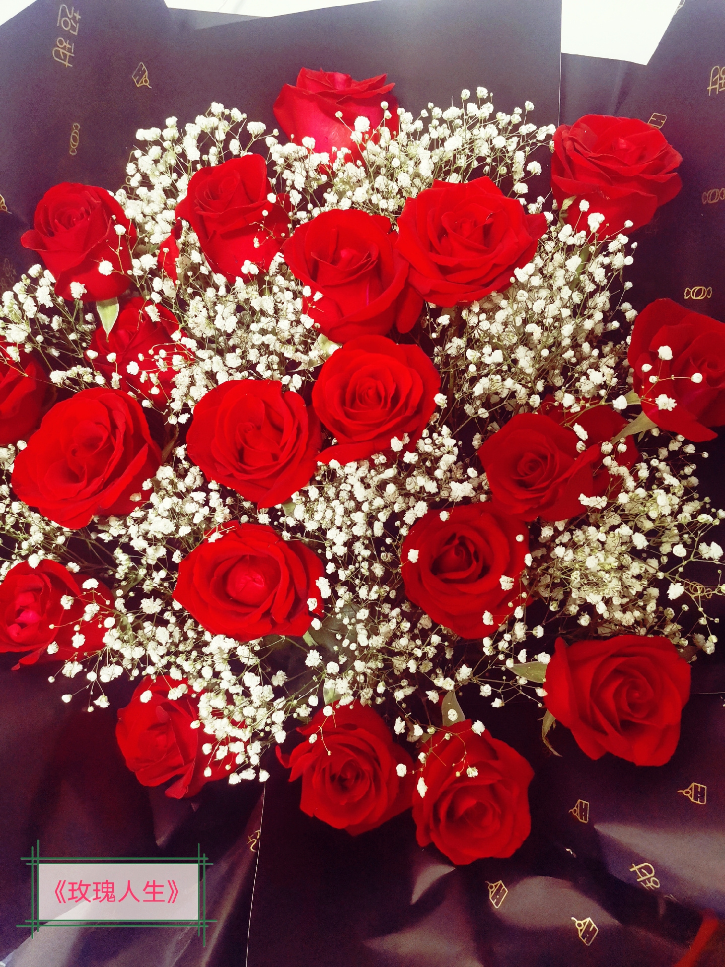 《玫瑰人生》   玫瑰映腮红,   匙叶照丝青.