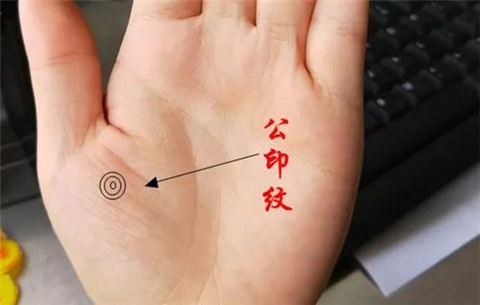 公印纹部位:坐落于拇指正下方的部位深入分析:在手相学中,公印纹在