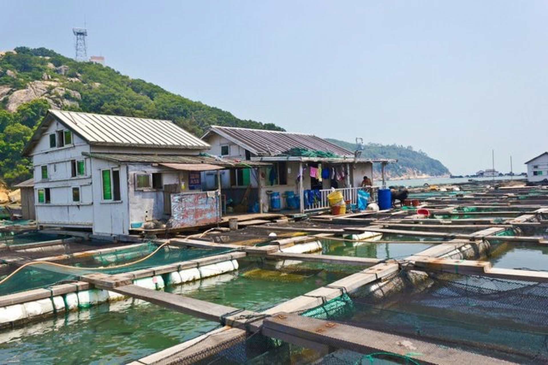 深圳市宝安区沙井海上田园,风景优美空气清新,简直就是一种享受.