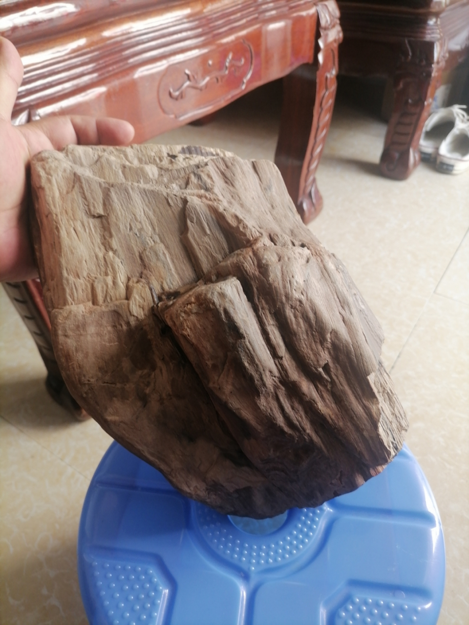 水冲料,树化玉树结子,品相完整,玉化的通透,奇石摆件!有喜欢的留言!