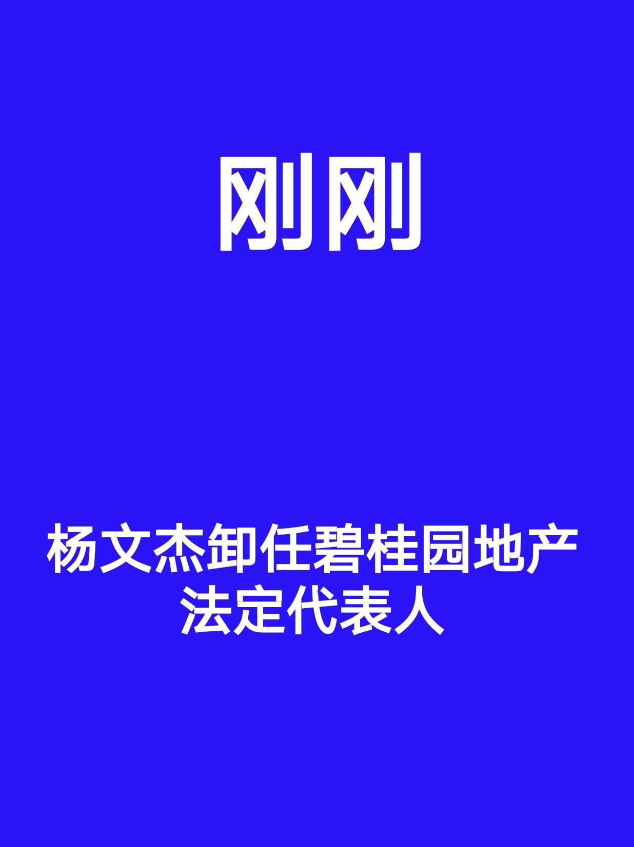 碧桂园杨文杰个人资料图片