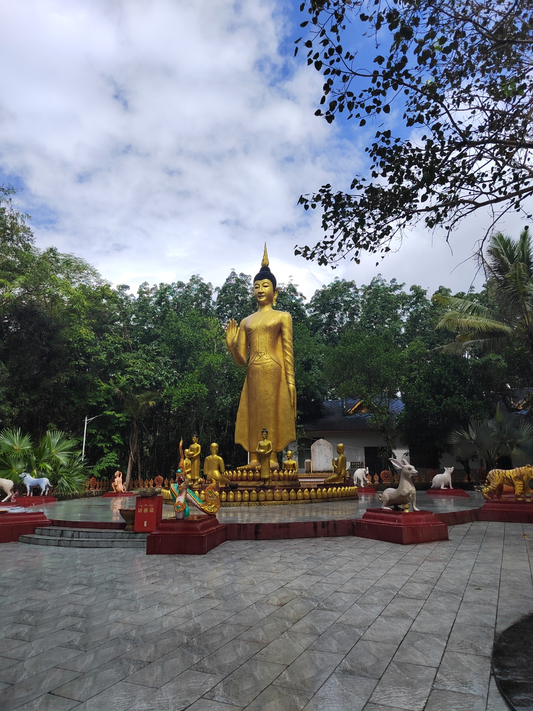 西双版纳勐龙镇天气今日情况 西双版纳勐龙镇天气今日情况