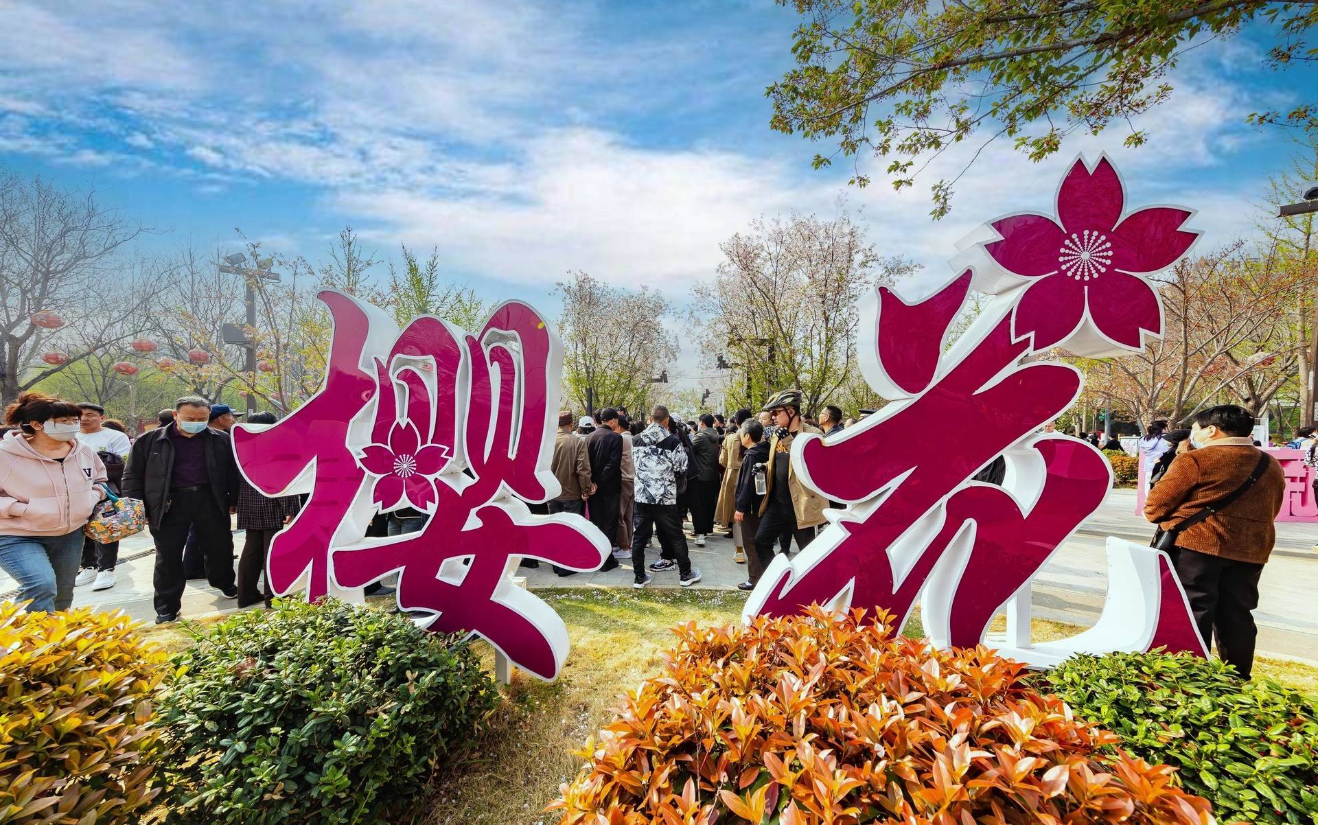 4月1日,鹤壁樱花季开幕,数万株樱花绽放