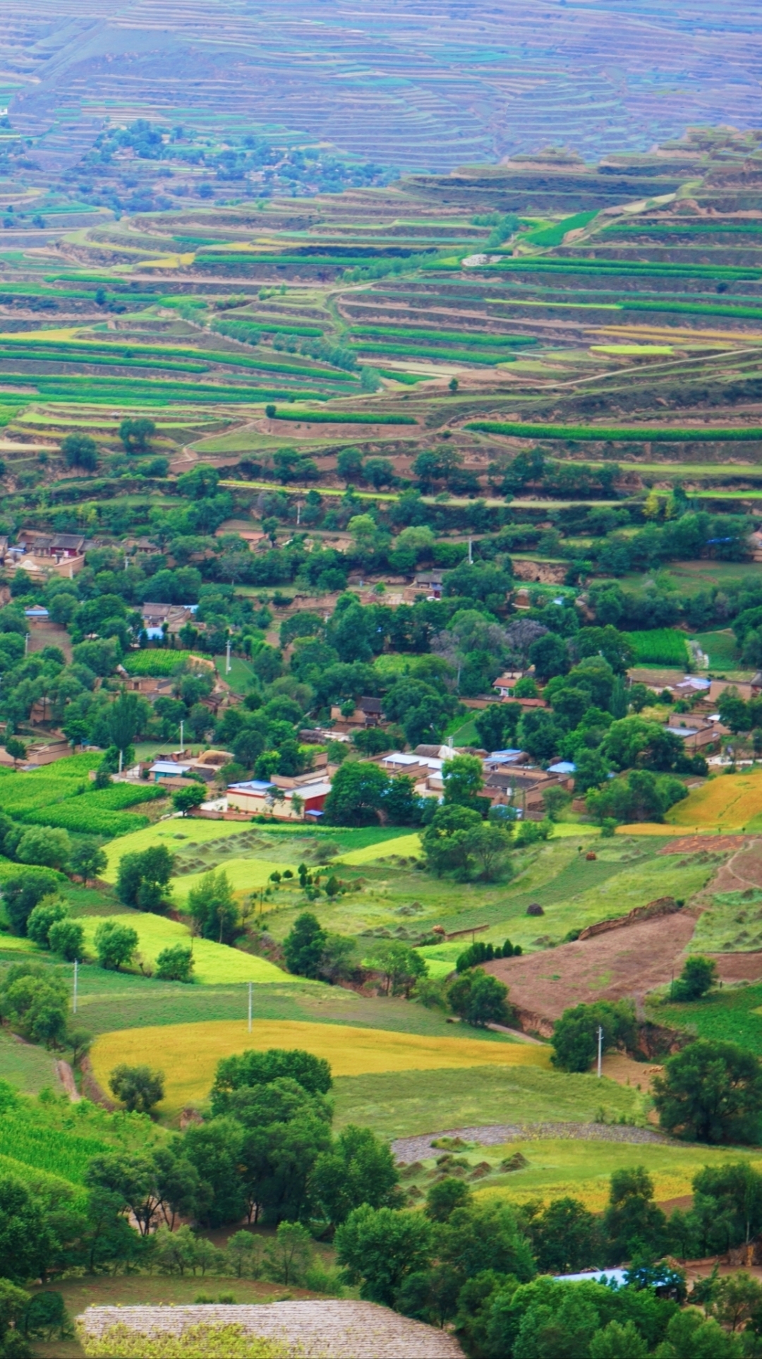 身处通渭,眼眺梯田,心生敬畏